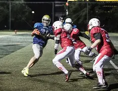 开云体育入口-橄榄球引发投注狂潮，赔率走势成谜的简单介绍