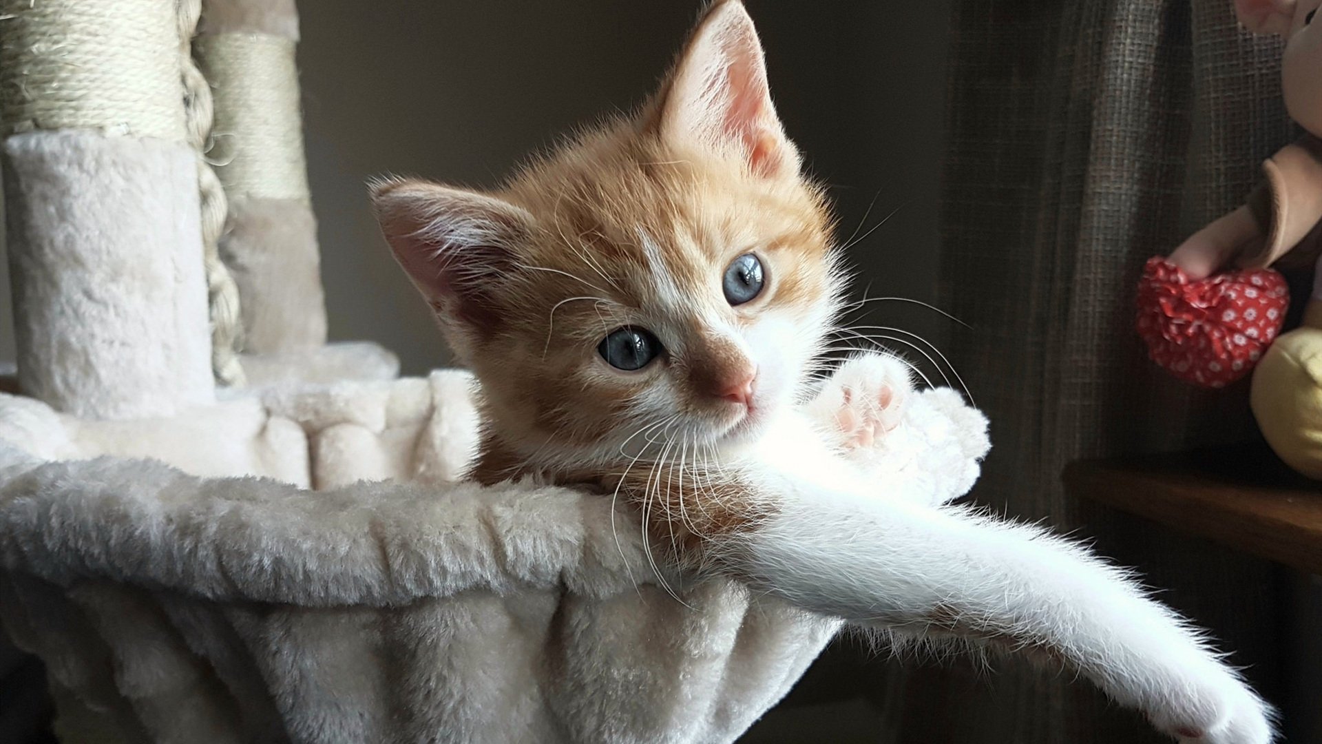 开云体育-撞线时刻，篮球巨星在F1赛道用中投绝杀世界