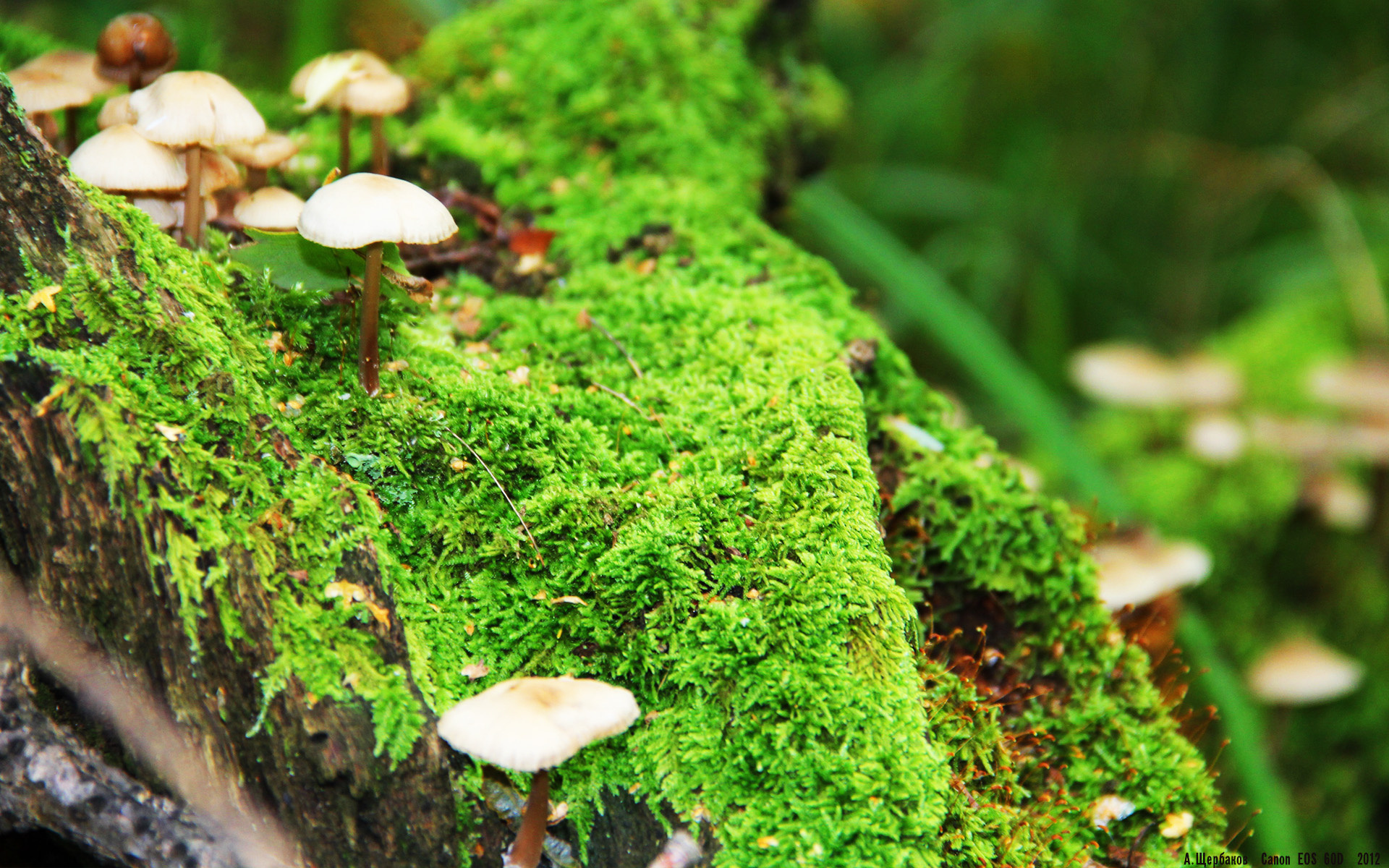 唯一的光芒,在压力之巅,门迪于德甲争冠夜完成自我加冕