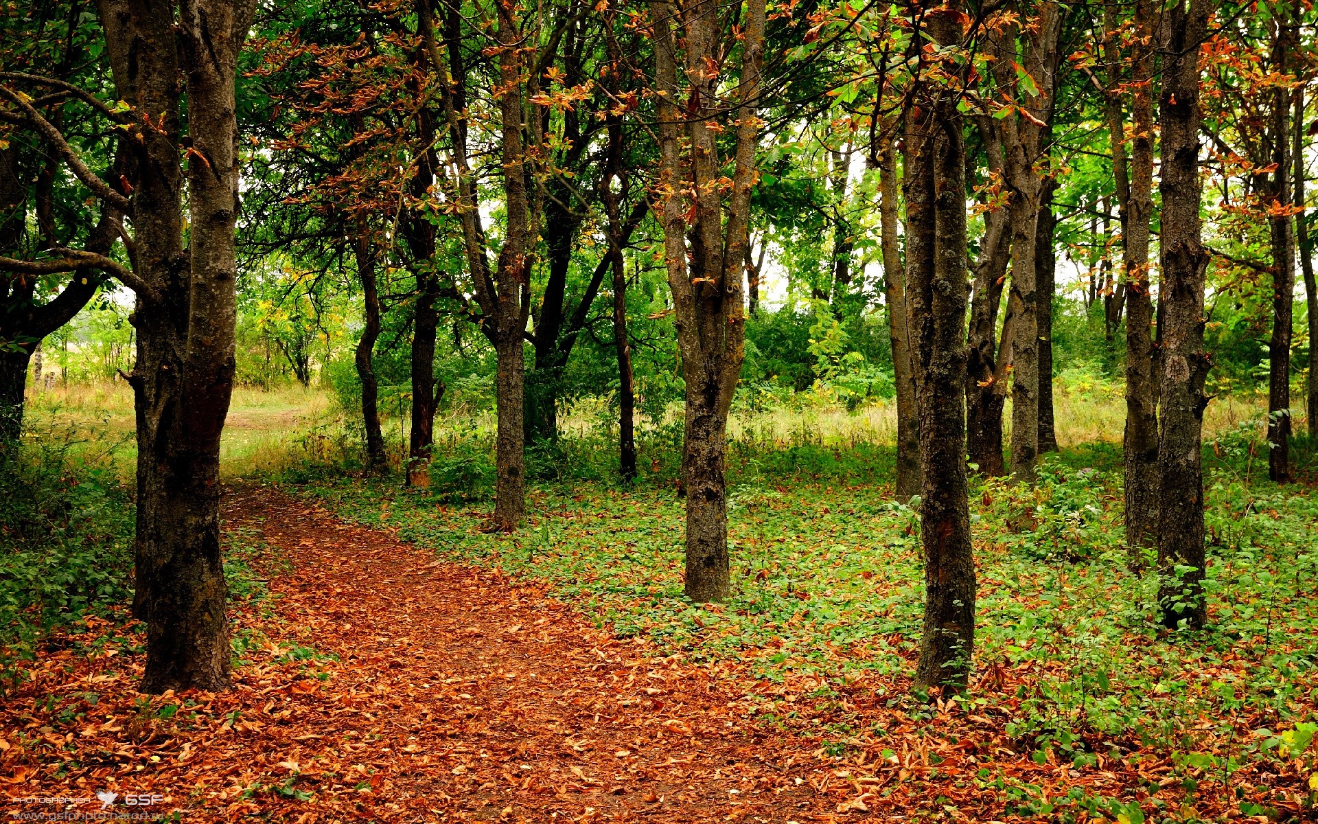 窒息时刻他依然清醒,霍勒迪如何用非巨星方式定义年度焦点之战
