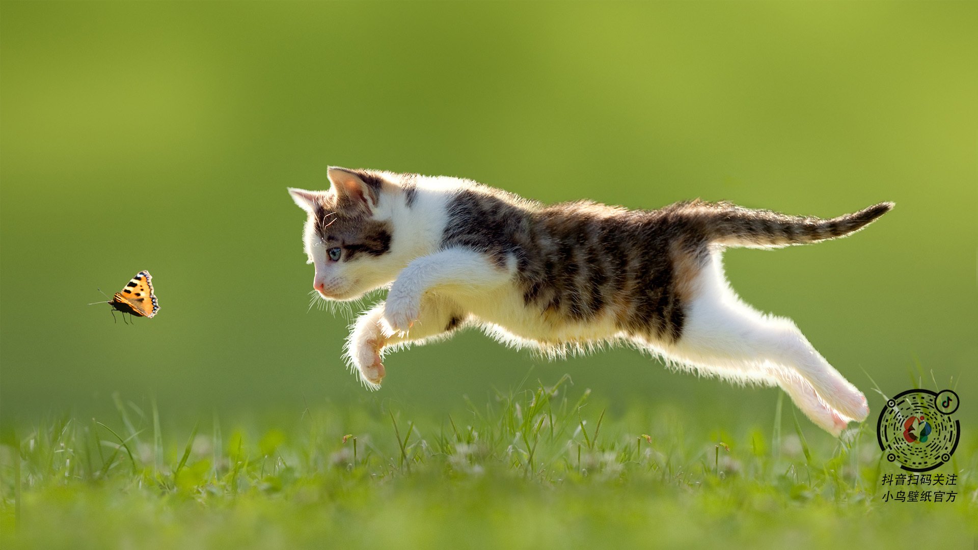 开云体育中国-两场决定性的篮球爆发，从CBA到奥运赛场的命运交响曲