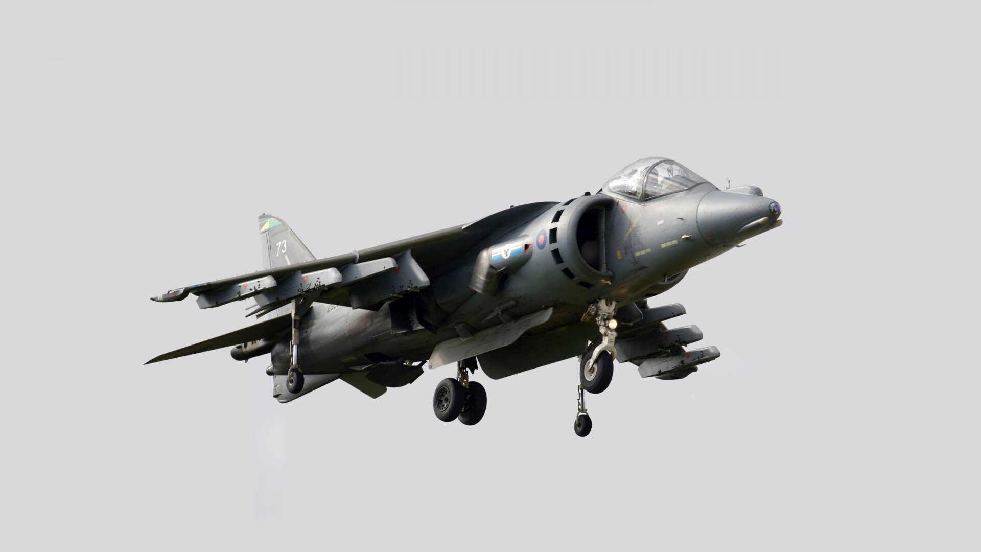 开云体育登录-赛季唯一！猛龙窒息防守终结广东十年主场神话