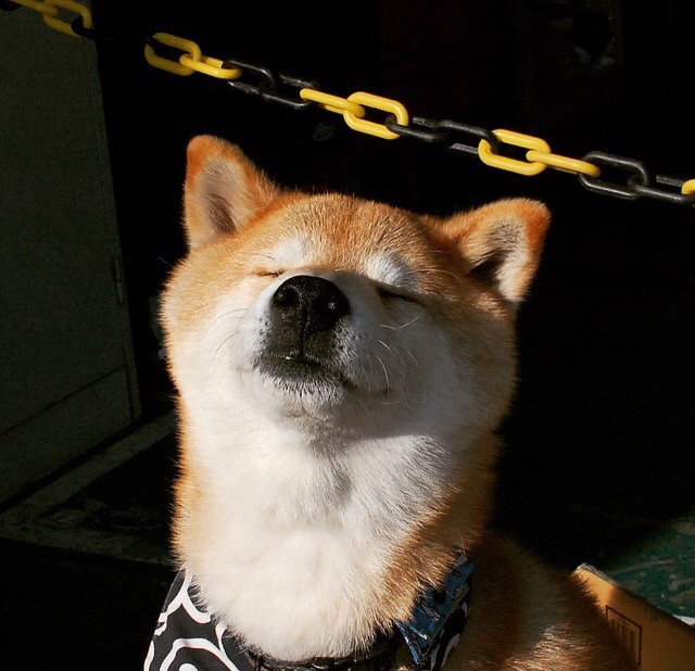 开云sport-跨界杀神，西决生死夜，内马尔用足球之魂点亮篮球圣殿