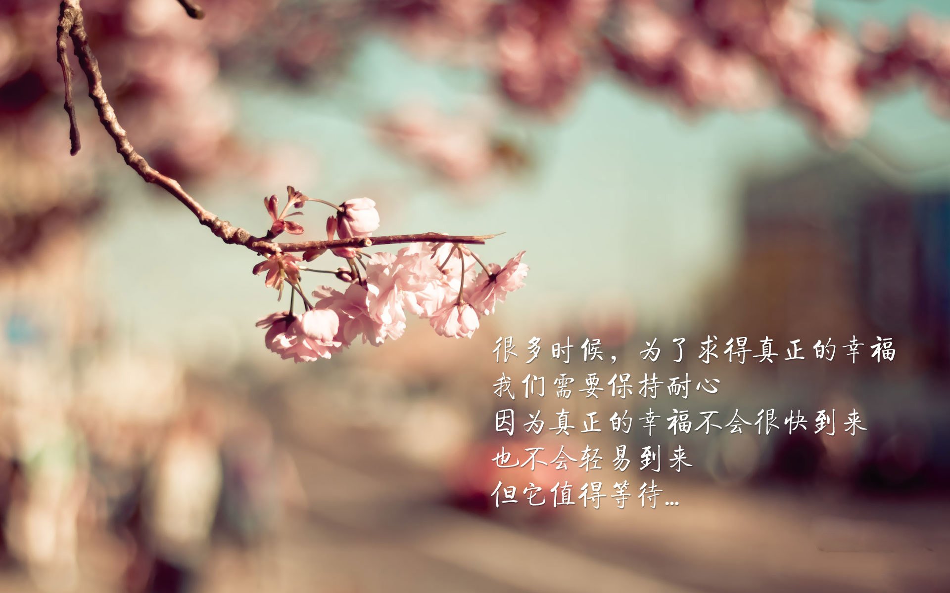 绿茵双线,阿劳霍铁闸自证,太极虎锋刃破墨