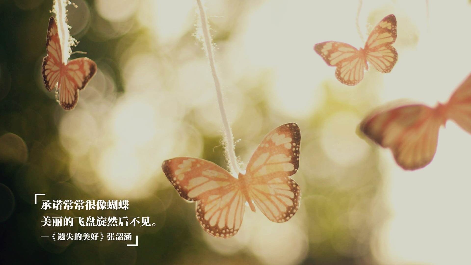 当利刃遇见壁垒，德罗赞在密尔沃基的夜晚