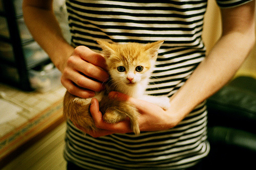 开云体育-宿命齿轮转动，锡安里程碑之夜与马刺的无声宣言，灰熊在两个时空被双重定义